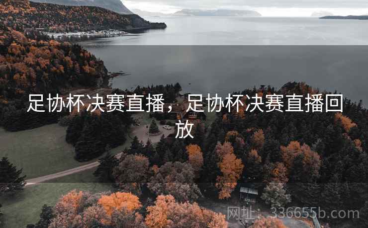 足协杯决赛直播，足协杯决赛直播回放