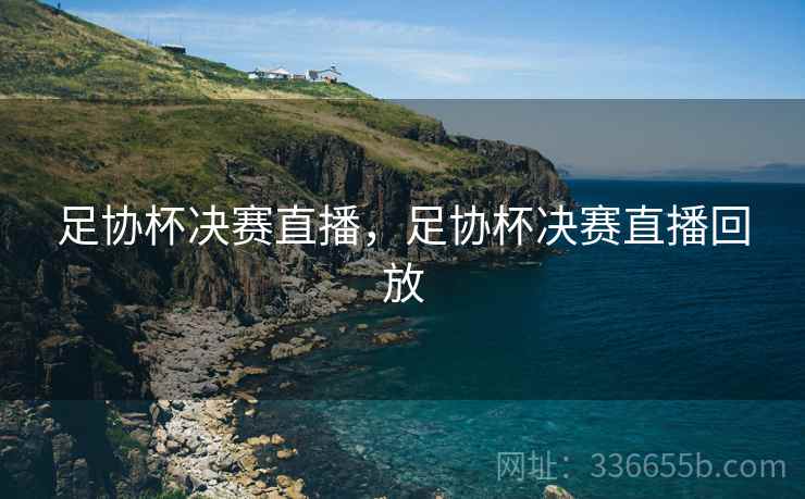 足协杯决赛直播，足协杯决赛直播回放