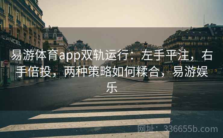 易游体育app双轨运行：左手平注，右手倍投，两种策略如何糅合，易游娱乐