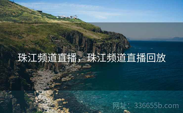珠江频道直播，珠江频道直播回放