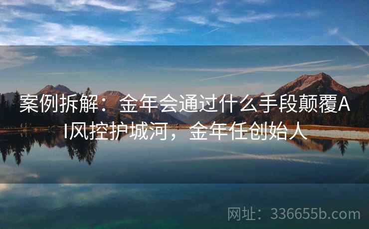 案例拆解：金年会通过什么手段颠覆AI风控护城河，金年任创始人