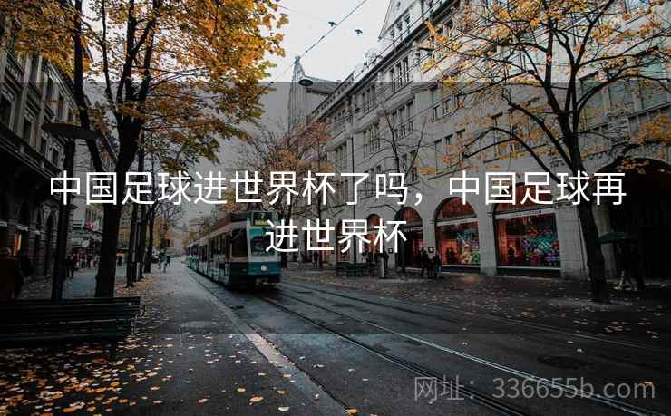 中国足球进世界杯了吗，中国足球再进世界杯