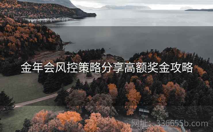 金年会风控策略分享高额奖金攻略