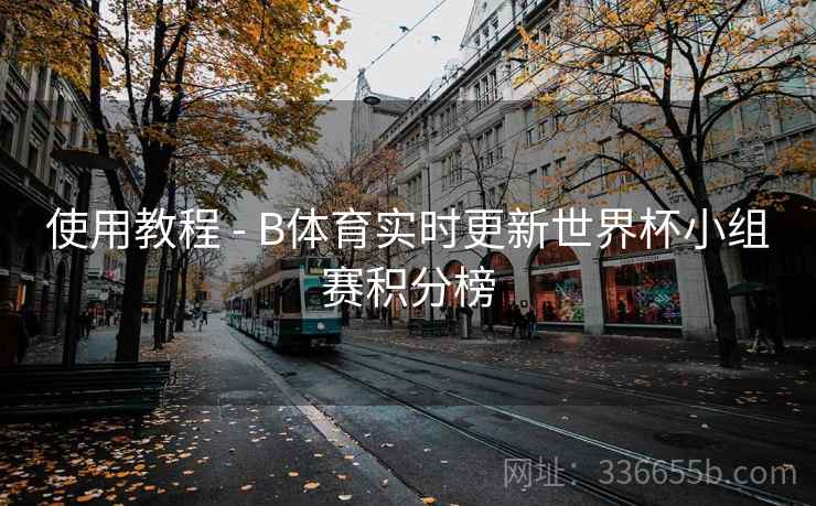 使用教程 - B体育实时更新世界杯小组赛积分榜  第2张