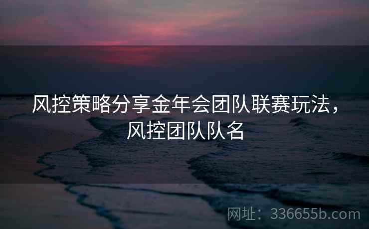 风控策略分享金年会团队联赛玩法，风控团队队名  第2张