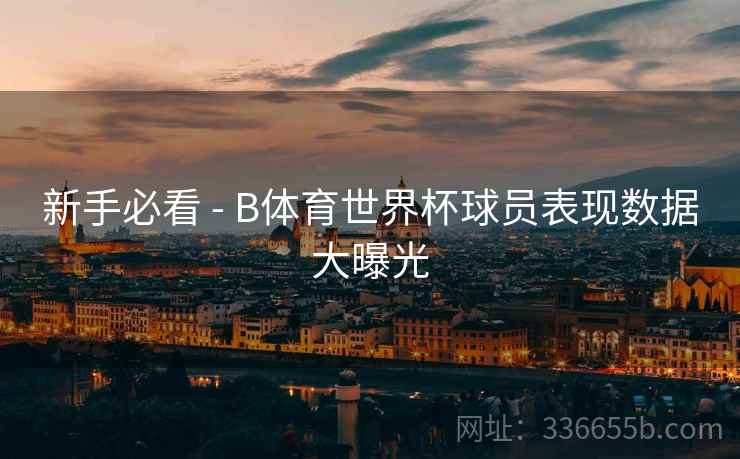 新手必看 - B体育世界杯球员表现数据大曝光  第2张